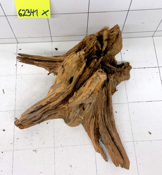 62341X - XINGU Wood Wurzelholz mit geschnittener Grundfläche
