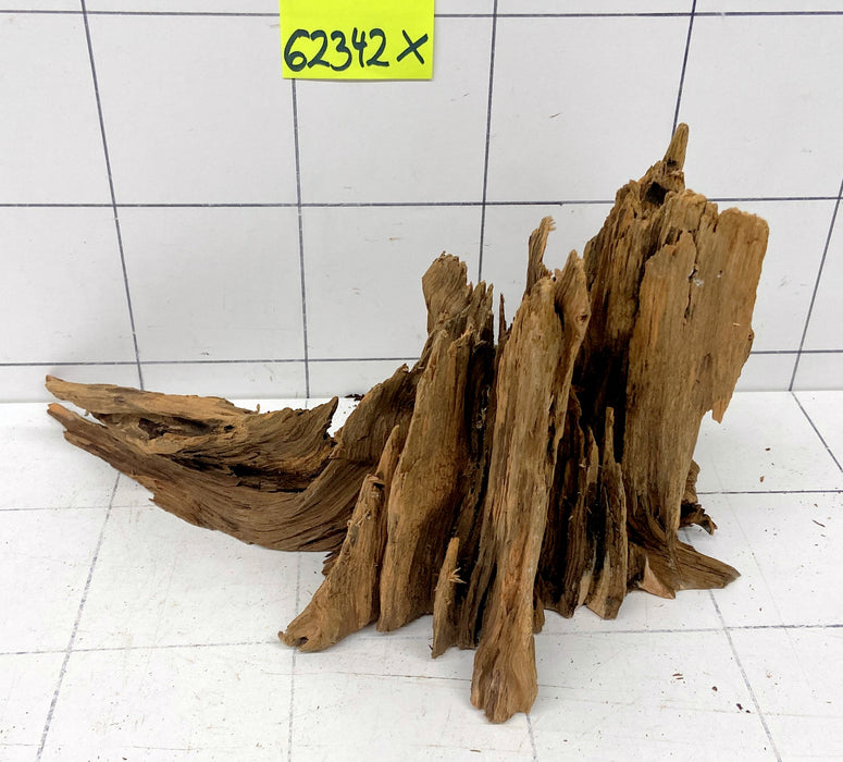 62342X - XINGU Wood Wurzelholz mit geschnittener Grundfläche