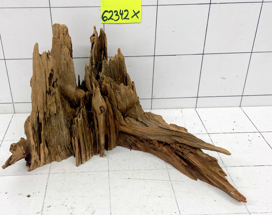 62342X - XINGU Wood Wurzelholz mit geschnittener Grundfläche