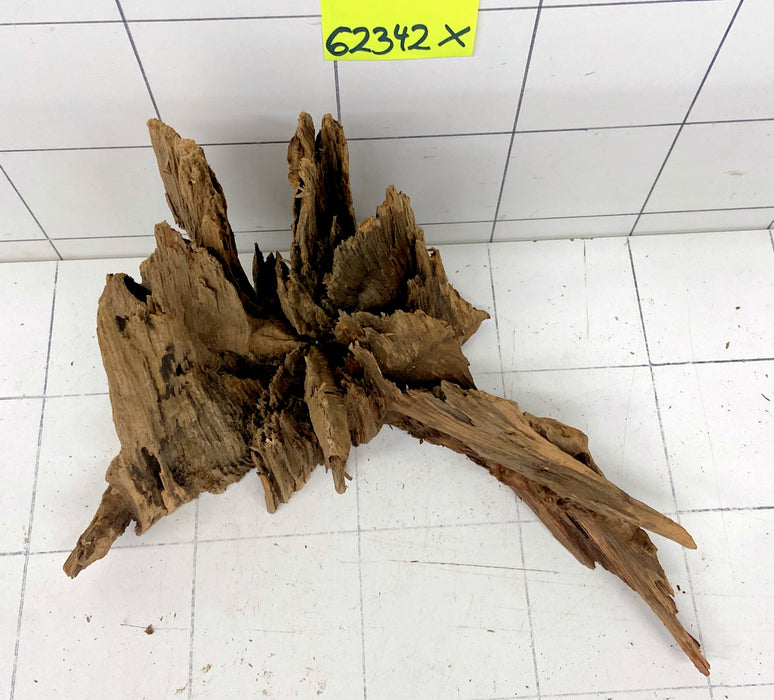 62342X - XINGU Wood Wurzelholz mit geschnittener Grundfläche