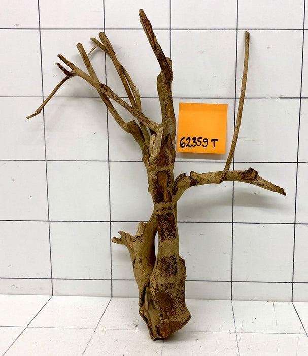 62359T Talawa Wurzel Holz