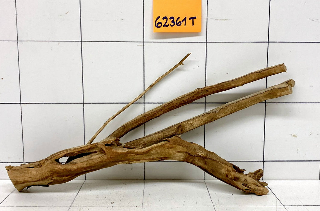 62361T Talawa Wurzel Holz