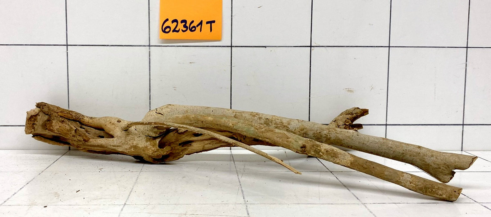 62361T Talawa Wurzel Holz