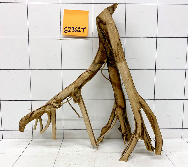 62362T Talawa Wurzel Holz