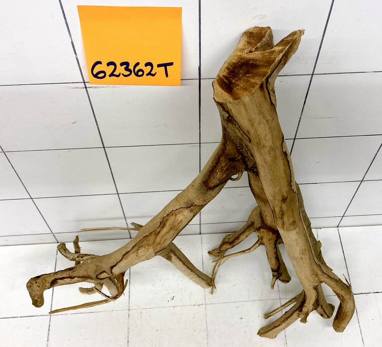 62362T Talawa Wurzel Holz