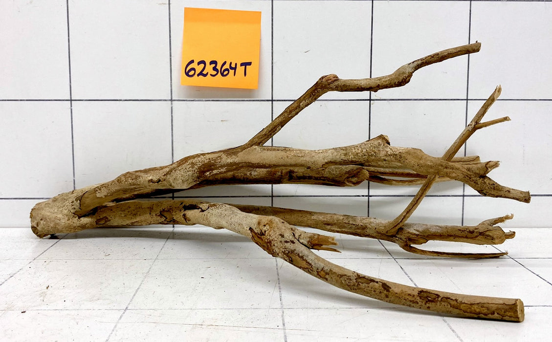 62364T Talawa Wurzel Holz