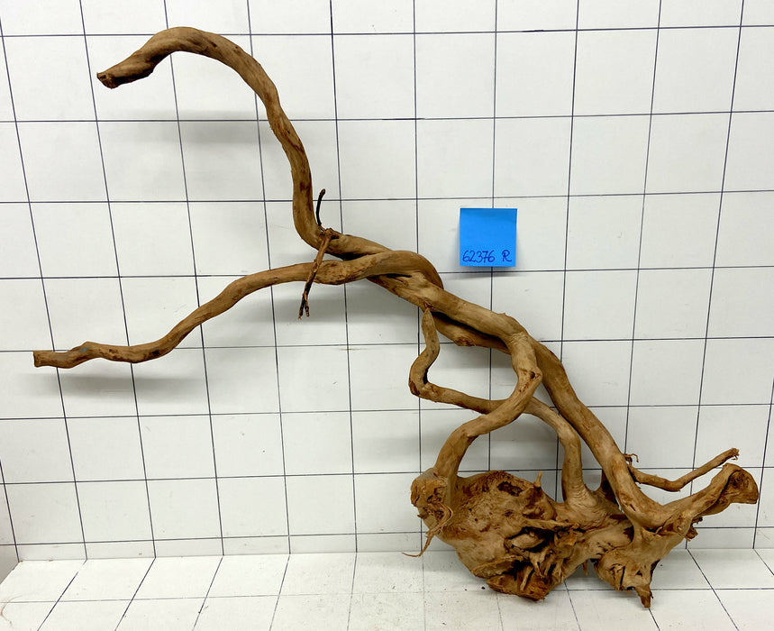 62376R Fingerwood / Rote Moorwurzel Holz
