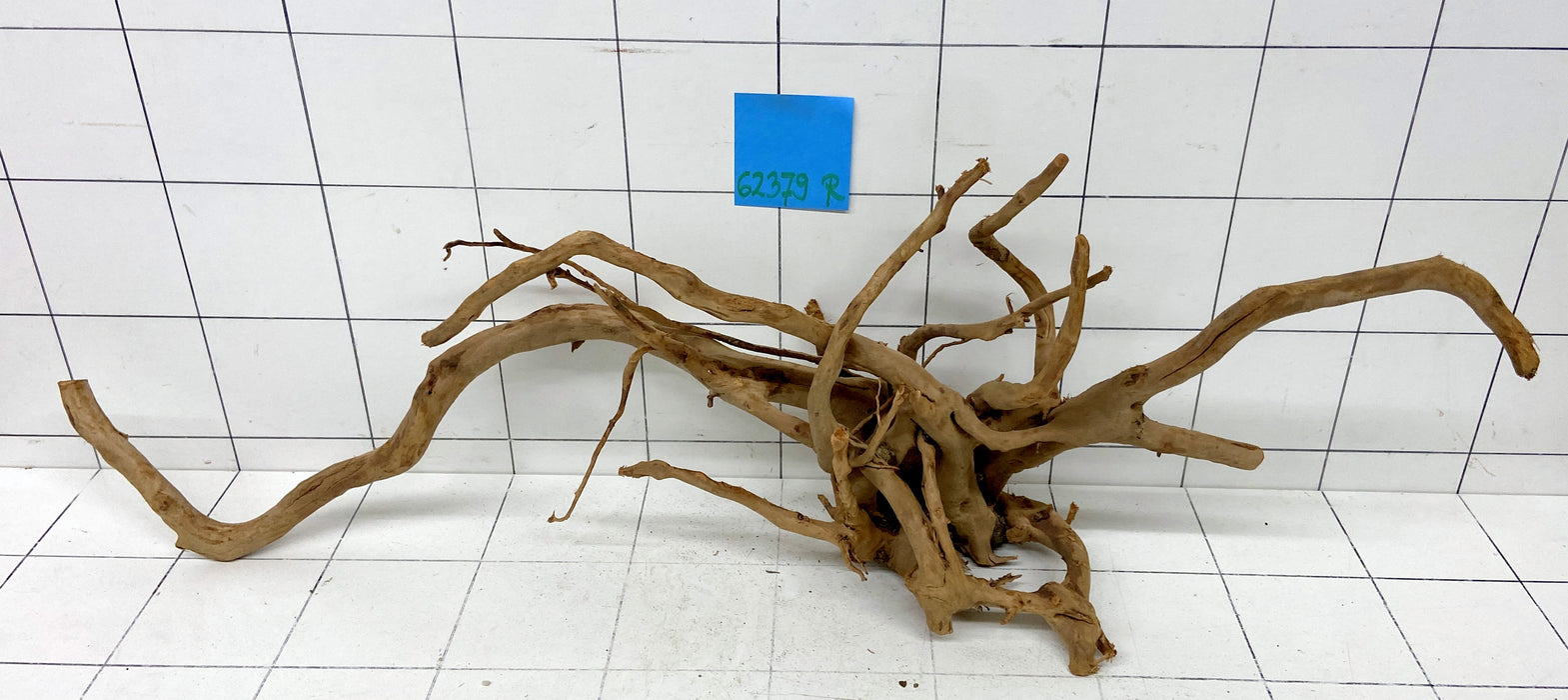 62379R Fingerwood / Rote Moorwurzel Holz