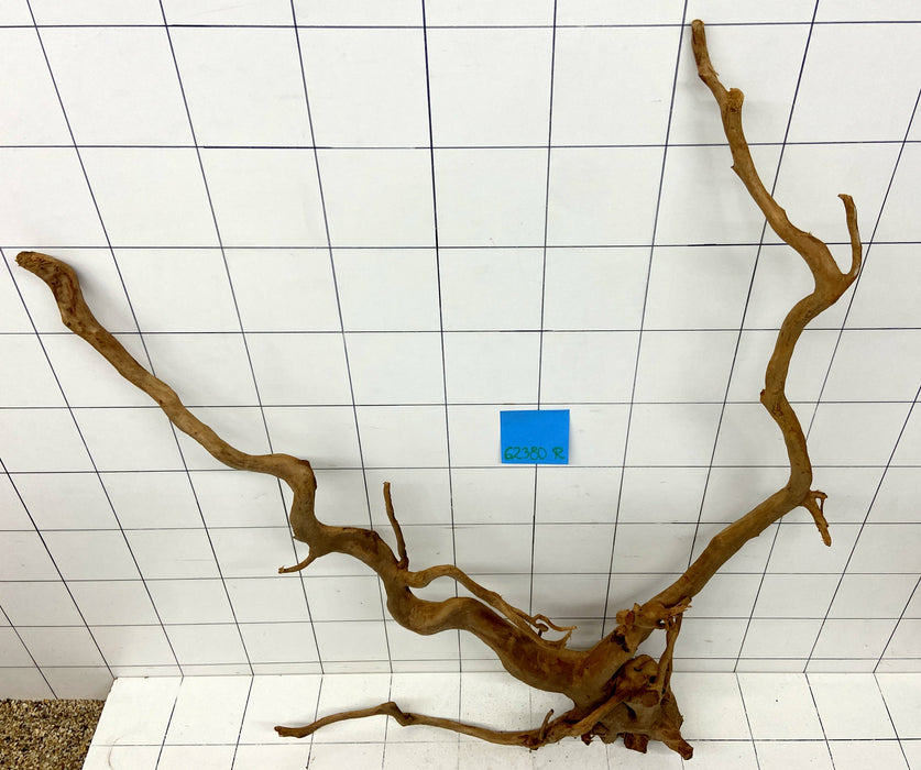 62380R Fingerwood / Rote Moorwurzel Holz