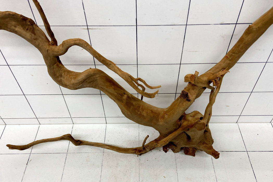 62380R Fingerwood / Rote Moorwurzel Holz