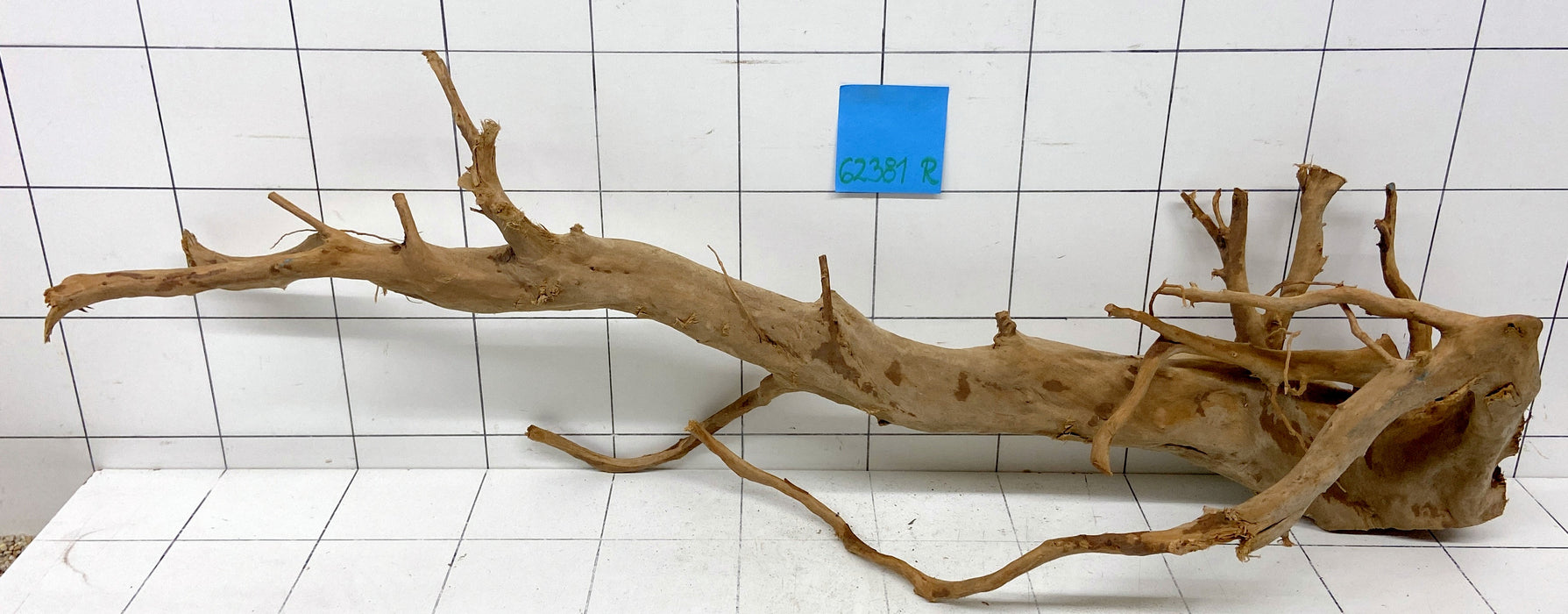 62381R Fingerwood / Rote Moorwurzel Holz