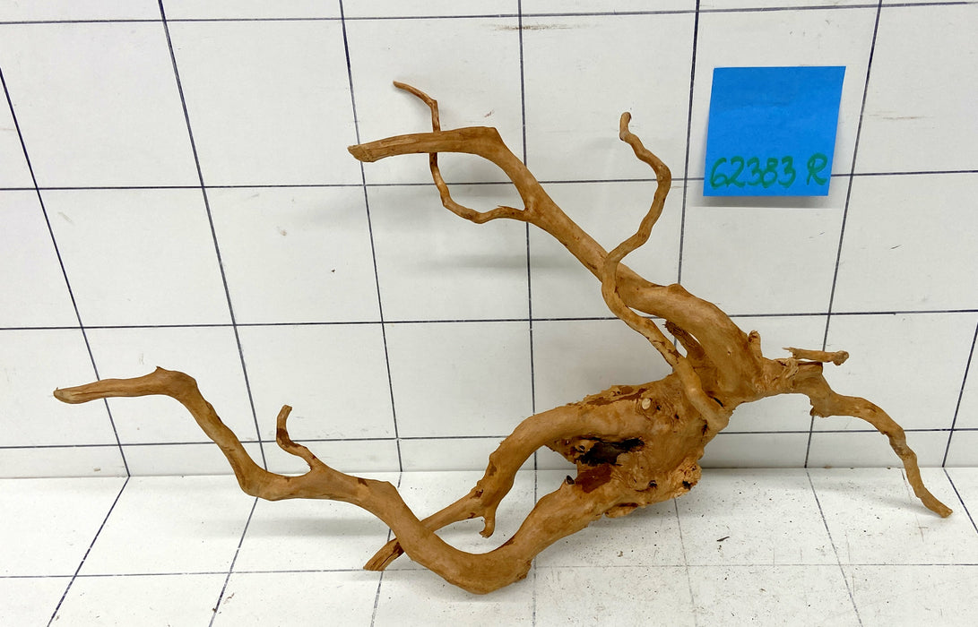 62383R Fingerwood / Rote Moorwurzel Holz