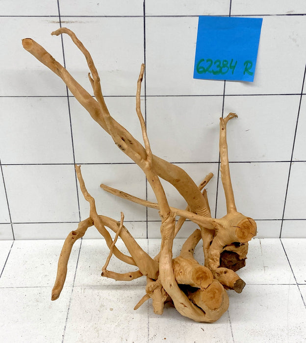 62384R Fingerwood / Rote Moorwurzel Holz