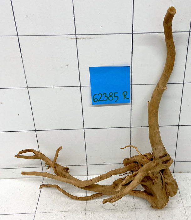 62385R Fingerwood / Rote Moorwurzel Holz