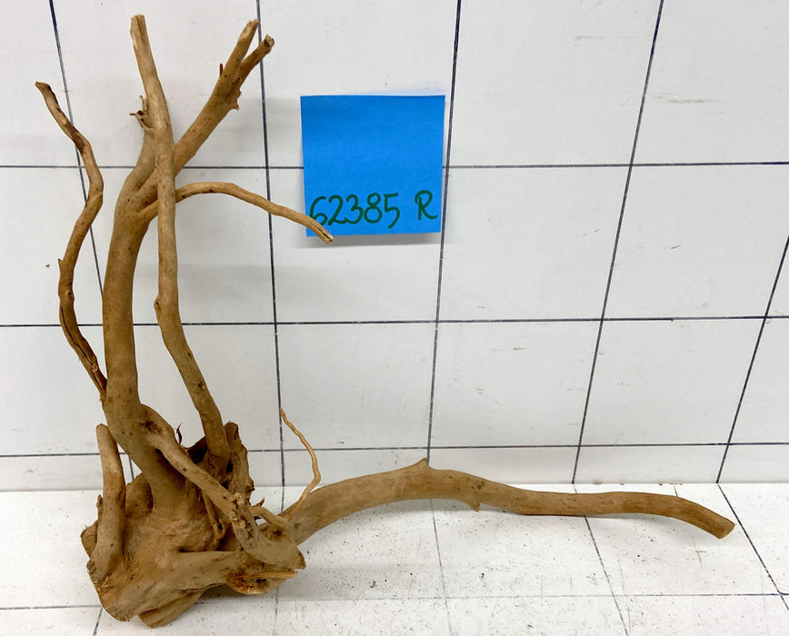62385R Fingerwood / Rote Moorwurzel Holz