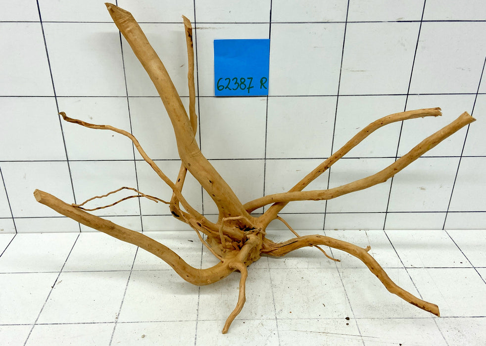 62387R Fingerwood / Rote Moorwurzel Holz