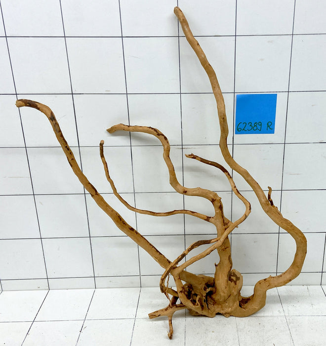62389R Fingerwood / Rote Moorwurzel Holz