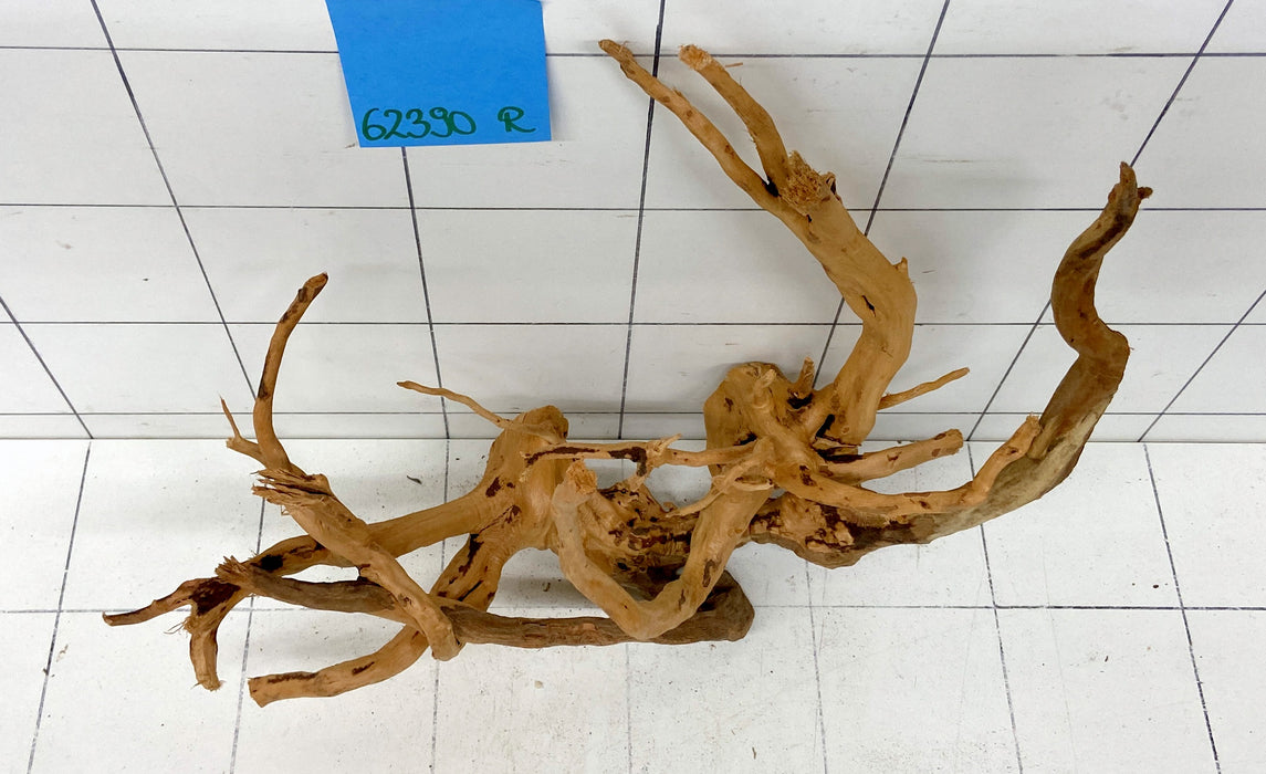 62390R Fingerwood / Rote Moorwurzel Holz