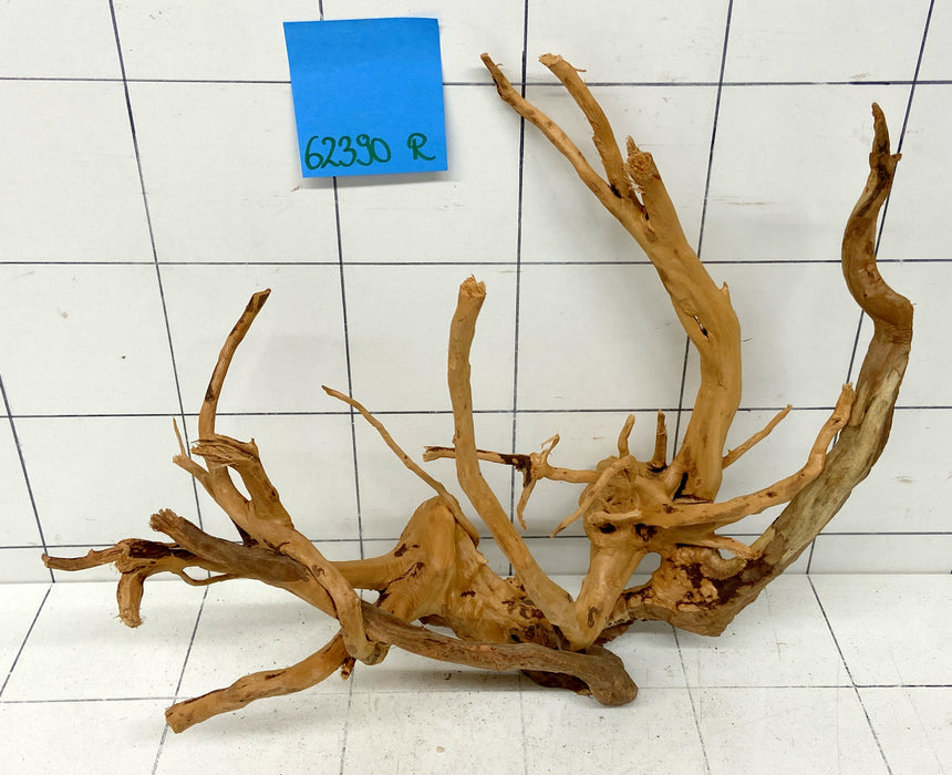 62390R Fingerwood / Rote Moorwurzel Holz