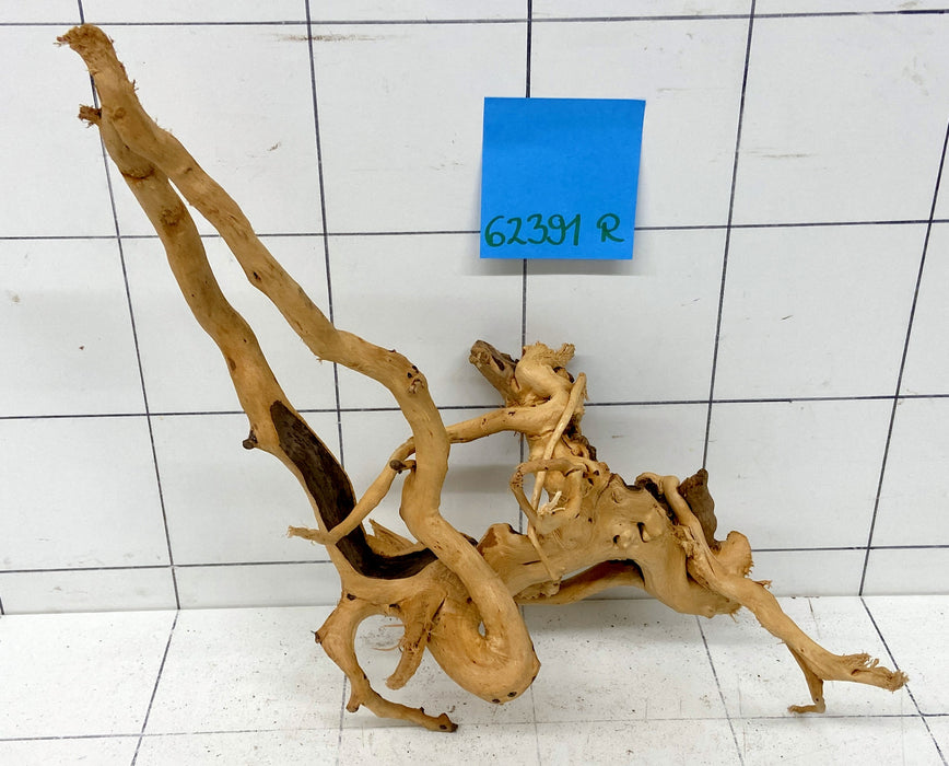 62391R Fingerwood / Rote Moorwurzel Holz