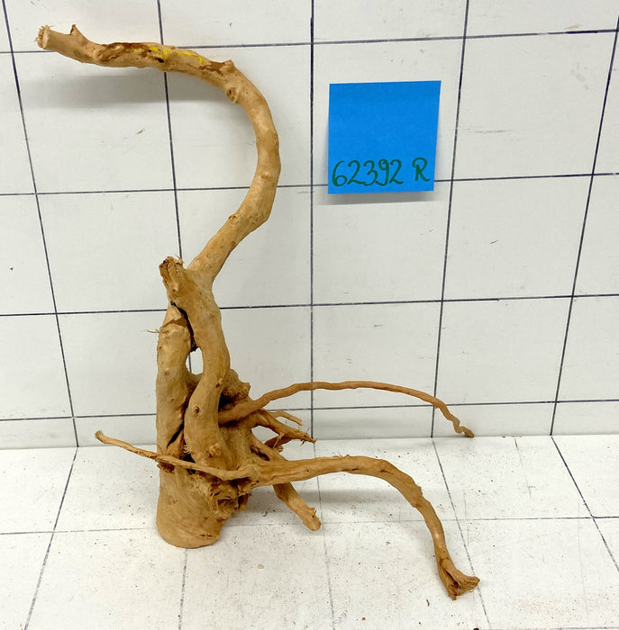 62392R Fingerwood / Rote Moorwurzel Holz