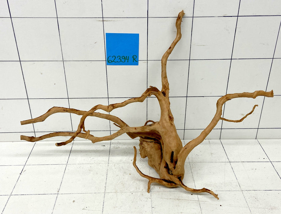 62394R Fingerwood / Rote Moorwurzel Holz