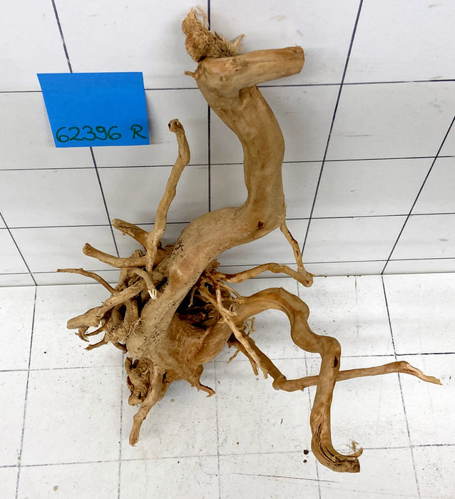 62396R Fingerwood / Rote Moorwurzel Holz