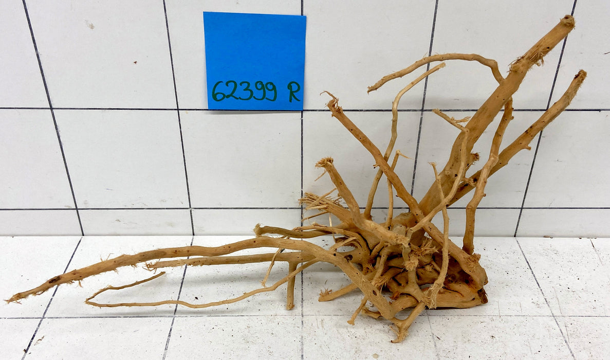 62399R Fingerwood / Rote Moorwurzel Holz