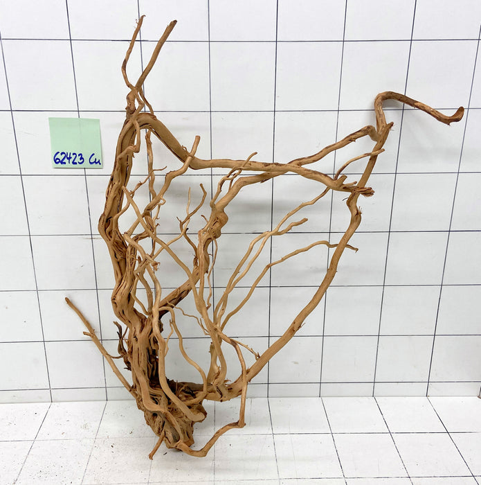 62423Cu - Curlwood Wurzel Holz