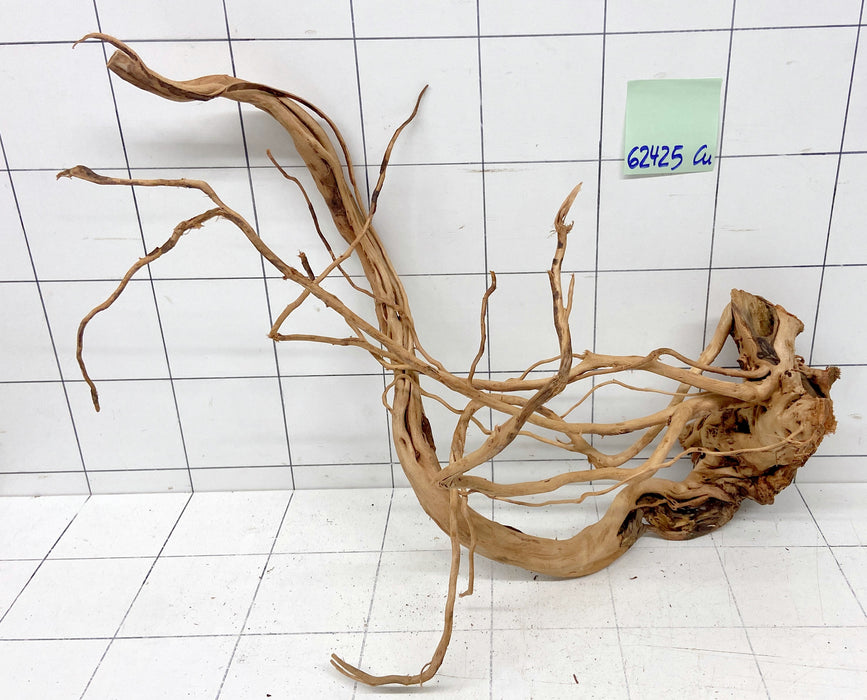 62425Cu - Curlwood Wurzel Holz