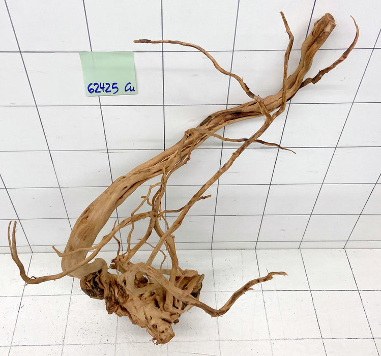 62425Cu - Curlwood Wurzel Holz
