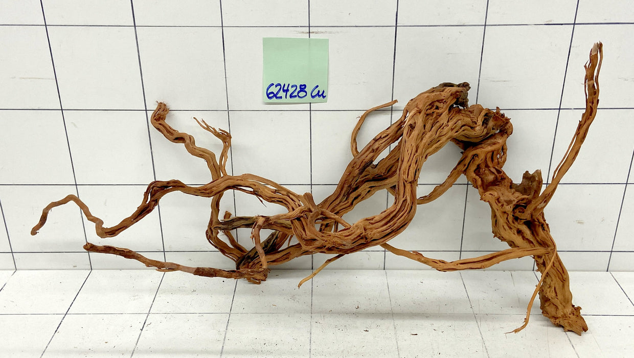 62428Cu - Curlwood Wurzel Holz