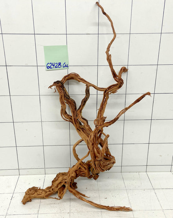 62428Cu - Curlwood Wurzel Holz