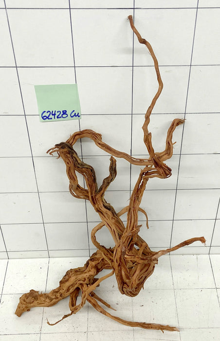62428Cu - Curlwood Wurzel Holz