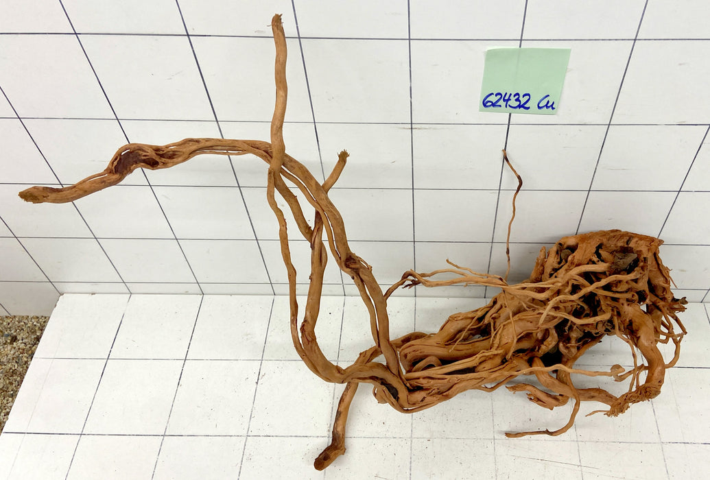 62432Cu - Curlwood Wurzel Holz