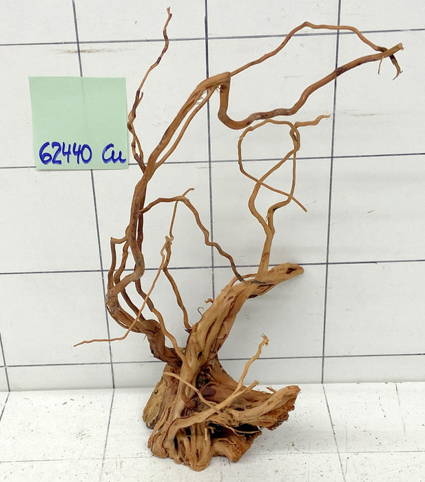 62440Cu - Curlwood Wurzel Holz