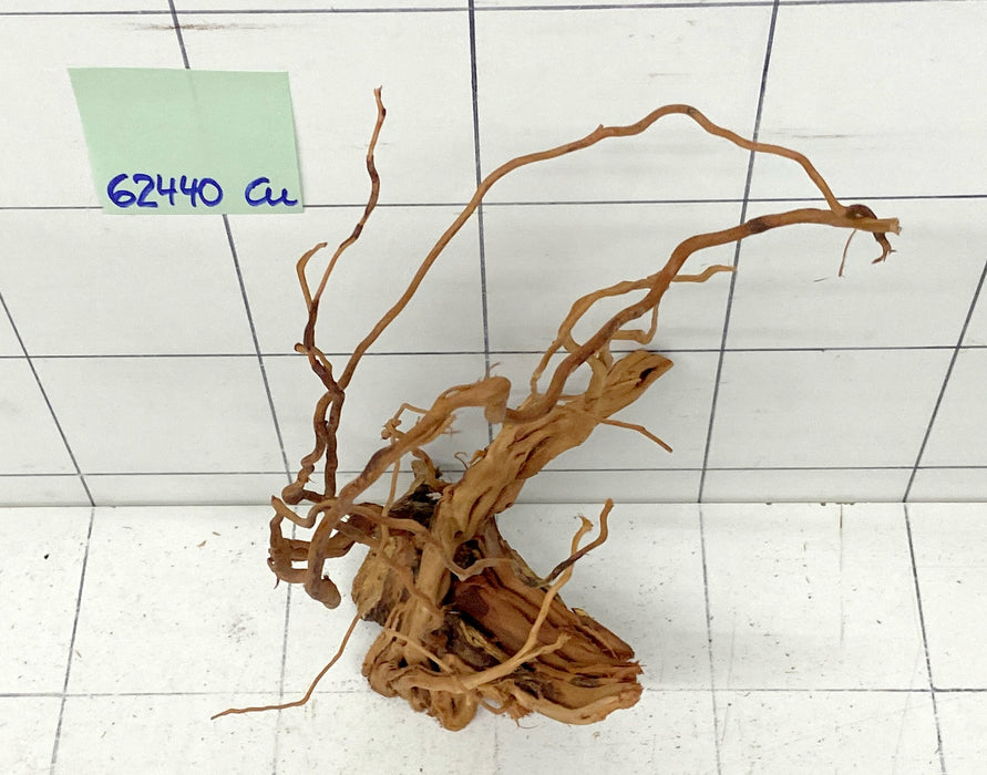 62440Cu - Curlwood Wurzel Holz