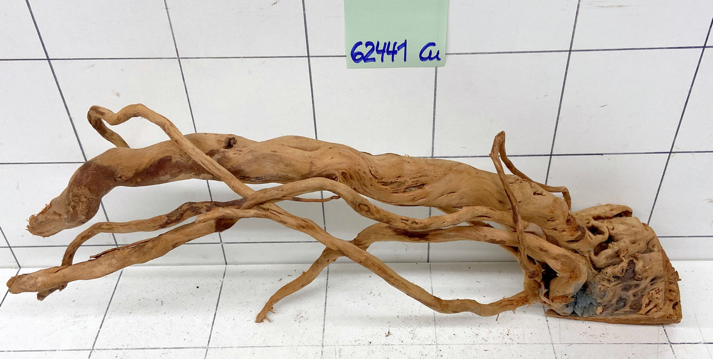 62441Cu - Curlwood Wurzel Holz