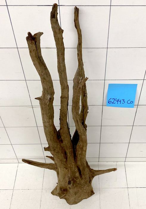 62443CO - Corbo Wurzel Holz XL