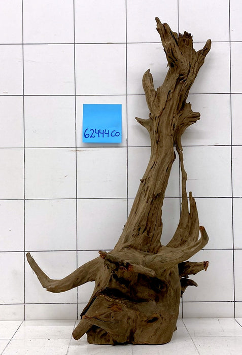 62444CO - Corbo Wurzel Holz XL