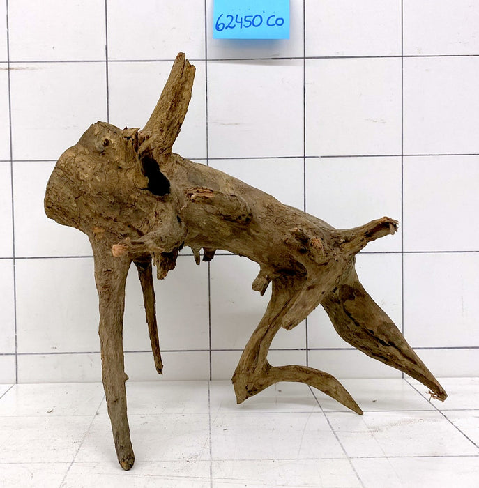 62450CO - Corbo Wurzel Holz