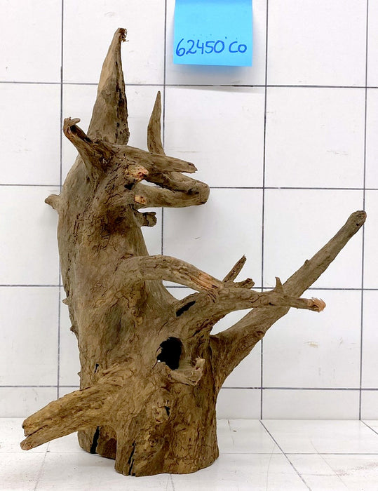 62450CO - Corbo Wurzel Holz