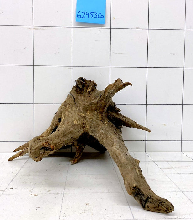 62453CO - Corbo Wurzel Holz