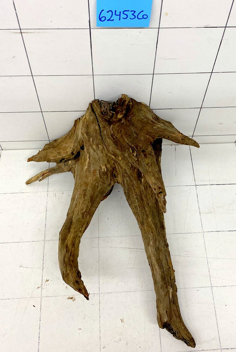 62453CO - Corbo Wurzel Holz