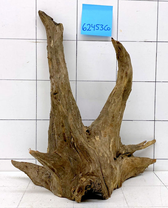 62453CO - Corbo Wurzel Holz