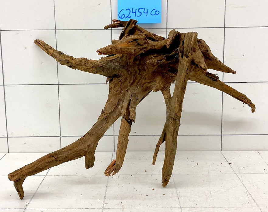 62454CO - Corbo Wurzel Holz