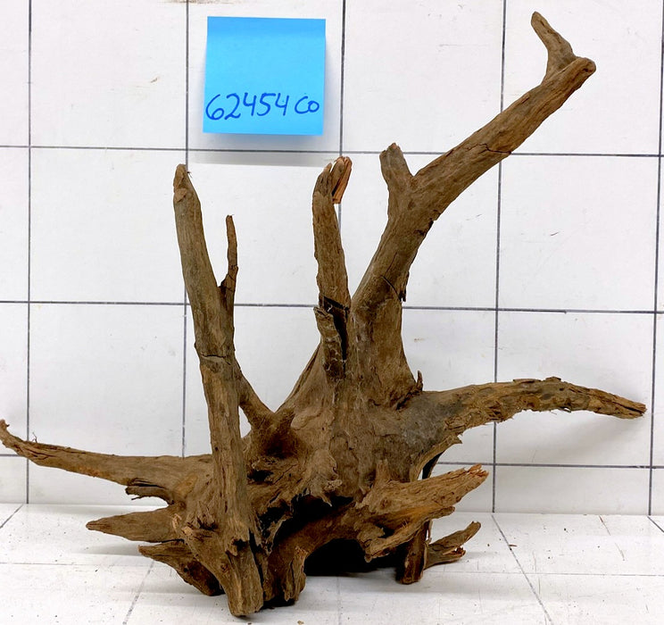 62454CO - Corbo Wurzel Holz