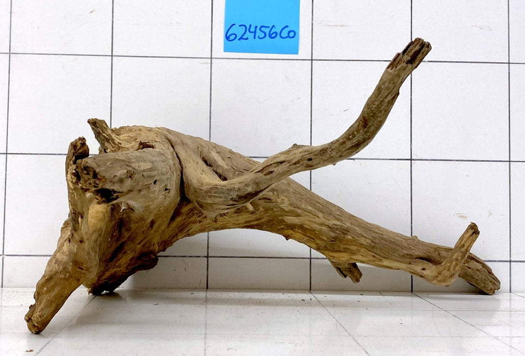 62456CO - Corbo Wurzel Holz