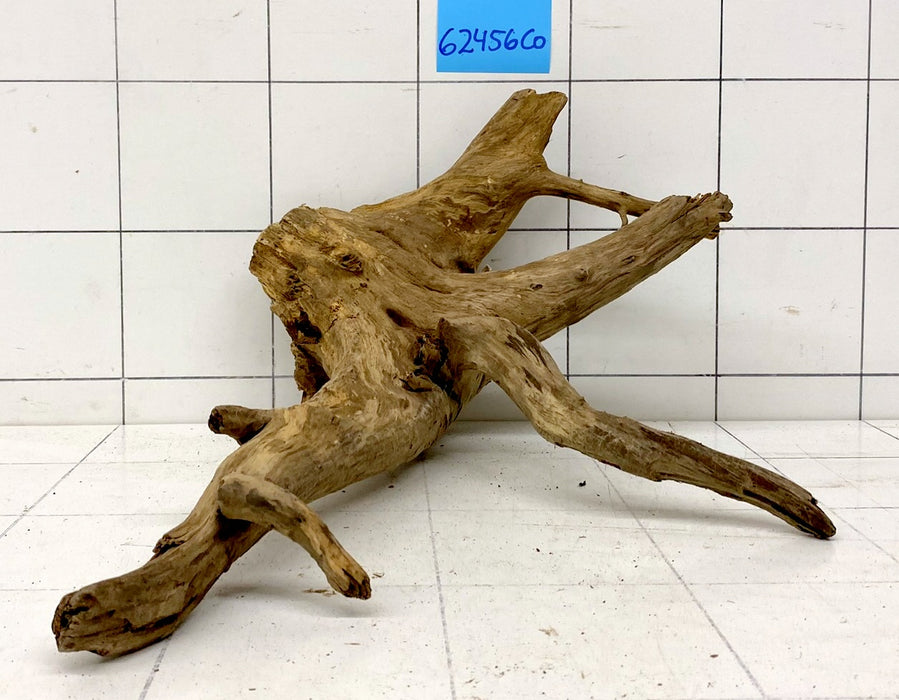 62456CO - Corbo Wurzel Holz