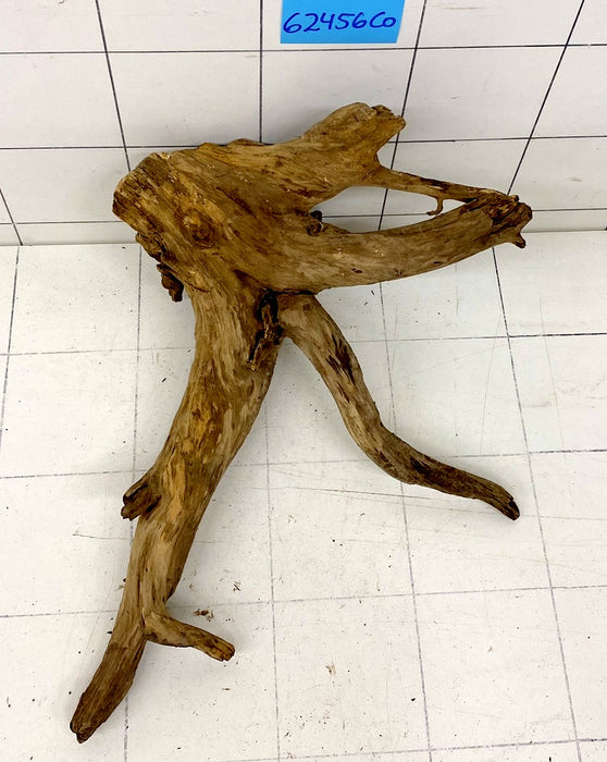 62456CO - Corbo Wurzel Holz